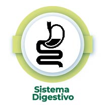 https://naterra.com.mx/product-category/sistema-digestivo/